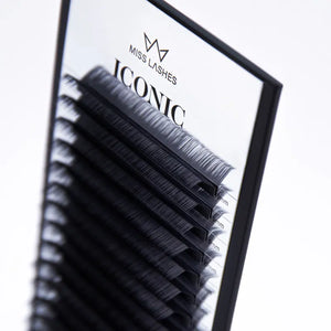 Iconic | G-Curl | 0.07 | 16 rows of lashes | Mixbox
