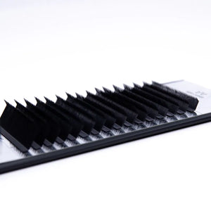 Iconic | G-Curl | 0.07 | 16 rows of lashes | Mixbox