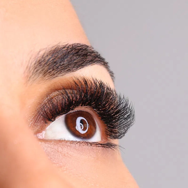Iconic | G-Curl | 0.07 | 16 rows of lashes | Mixbox